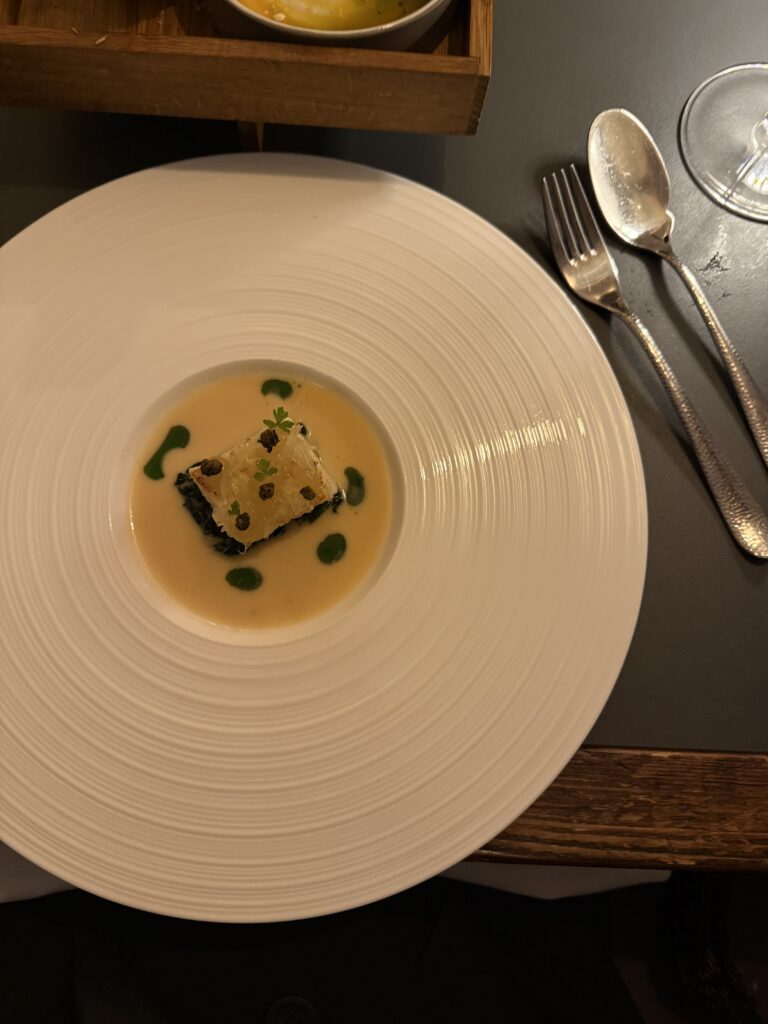 Fein angerichteter Fischgang im Jellyfish