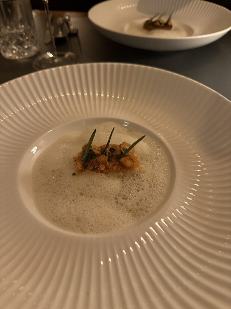 Fein angerichteter Fischgang im Jellyfish Hamburg mit Schaum, Kräutern und knusprigen Texturen in einem tiefen weißen Teller.